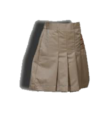 PTC Uniforms - Scholars Rosary Sr. Sec. School, Rohtak