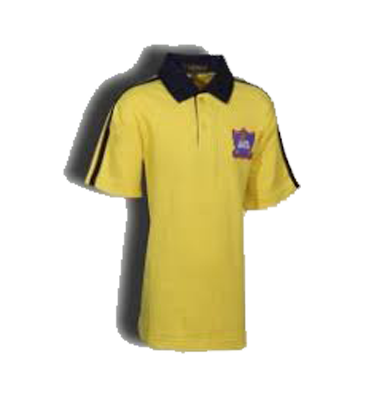 PTC Uniforms - Scholars Rosary Sr. Sec. School, Rohtak